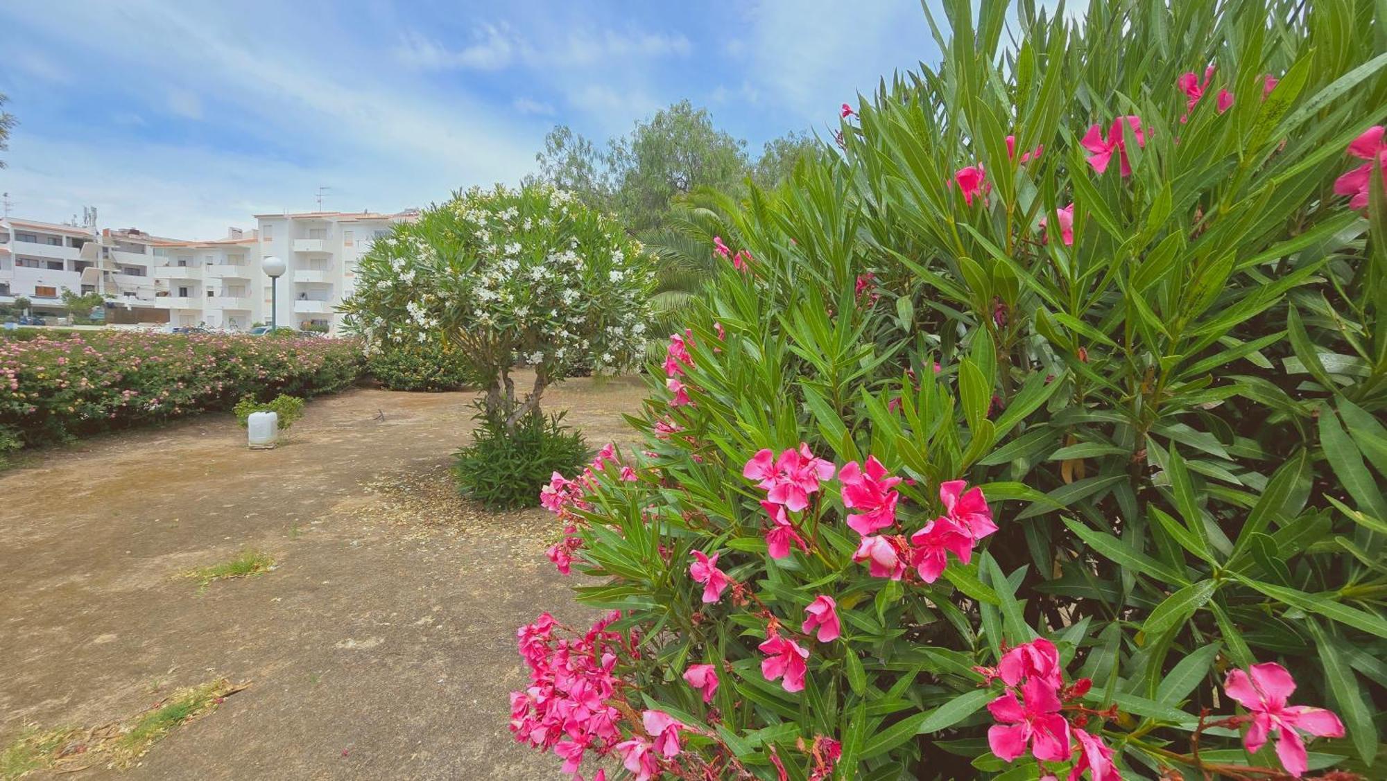 Praia Eulalia With Pool And 5 Minutes From The Beach Albufeira Exterior foto