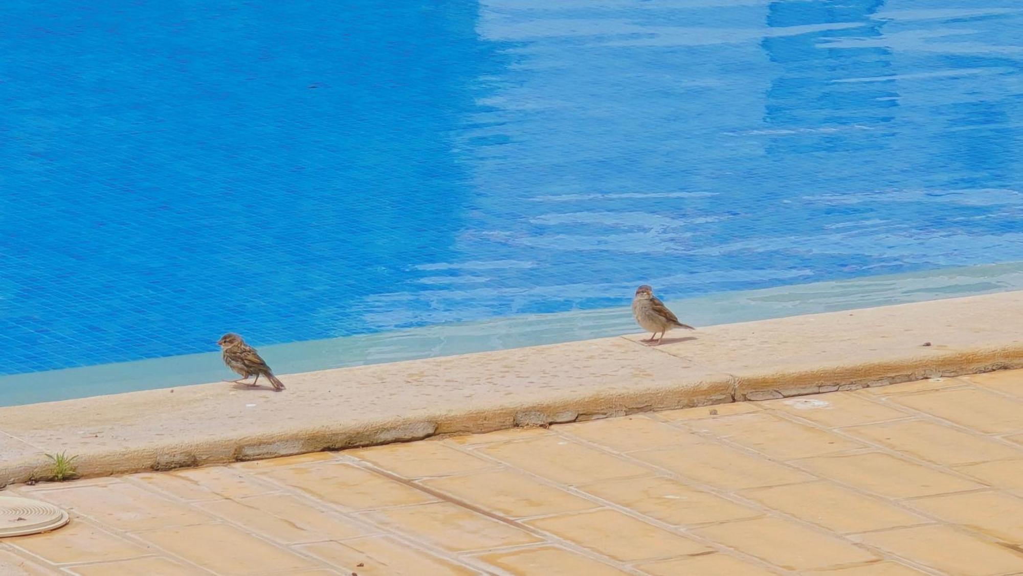 Praia Eulalia With Pool And 5 Minutes From The Beach Albufeira Exterior foto