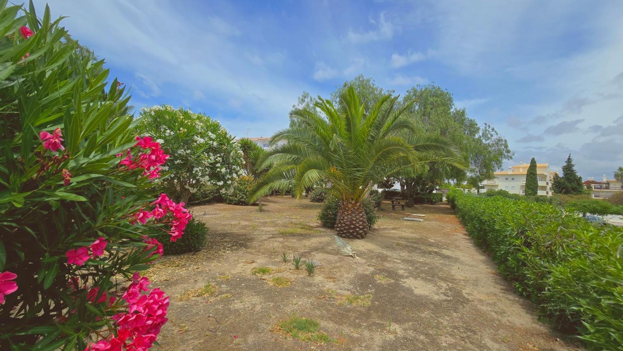 Praia Eulalia With Pool And 5 Minutes From The Beach Albufeira Exterior foto