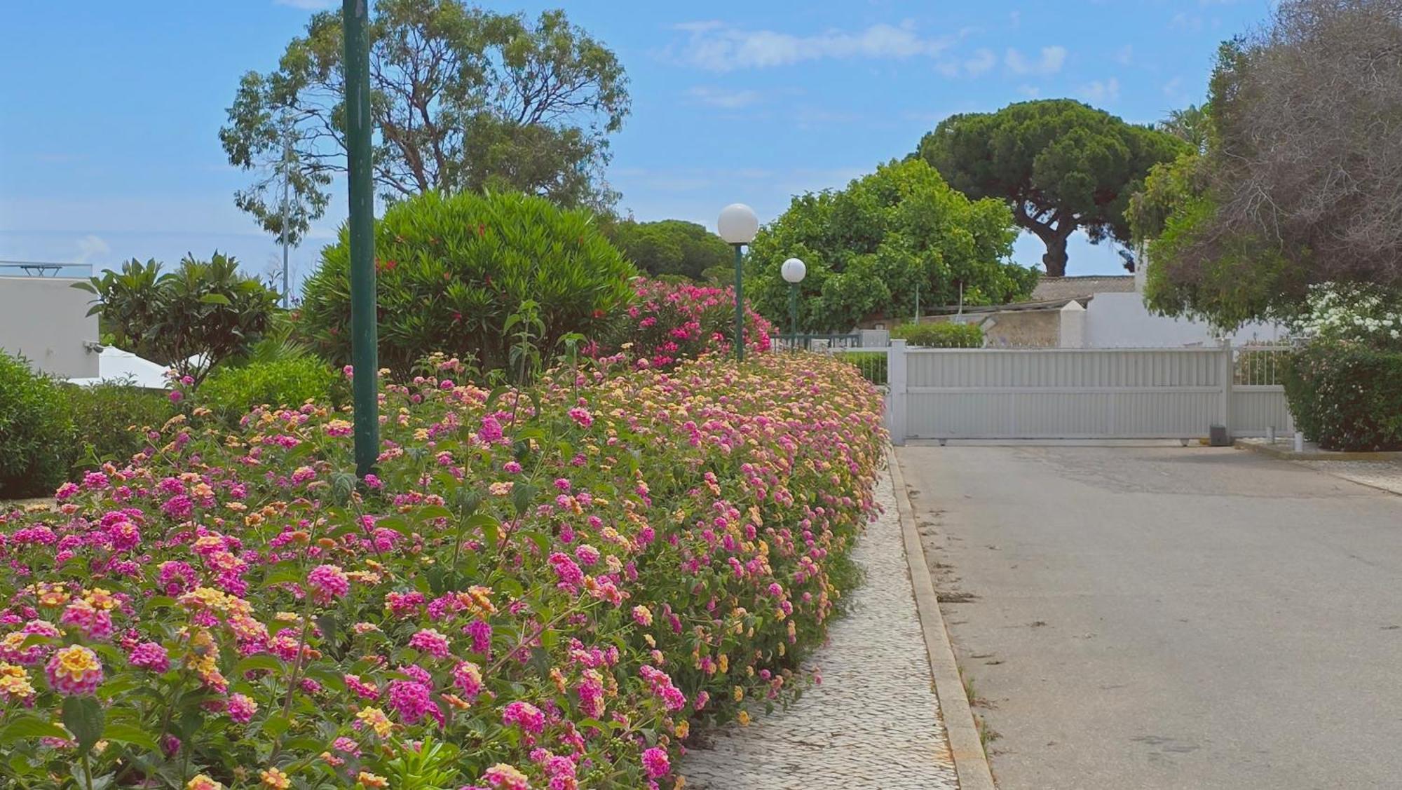 Praia Eulalia With Pool And 5 Minutes From The Beach Albufeira Exterior foto